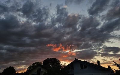 MorgenINNPULS – Schon gewusst?