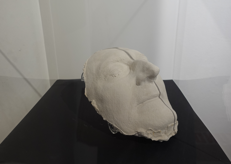 Ausstellung 7 Ausstellung "Stunde 0" im Städtischen Museum Rosenheim. Fotos: Innpuls.me