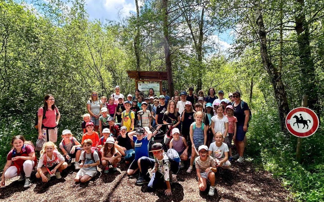 Rosenheimer Kommunionkinder erkunden Nicklheimer Moor