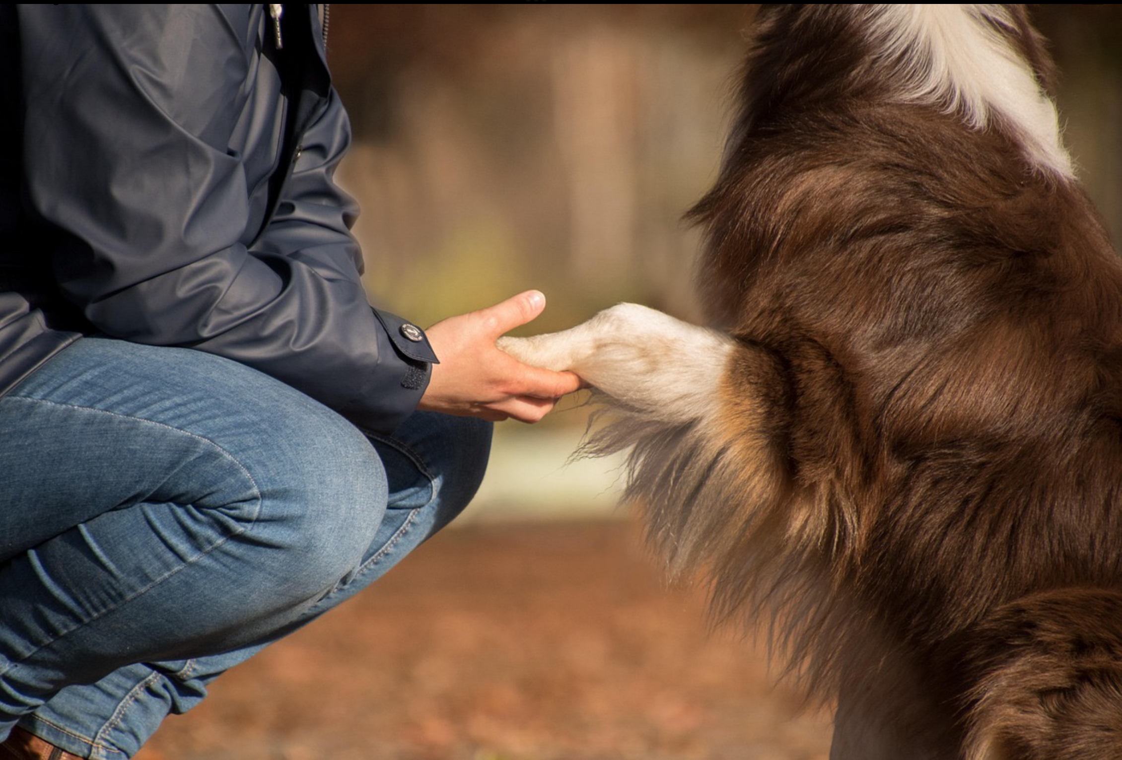 IMG_5649 Hund und Halter