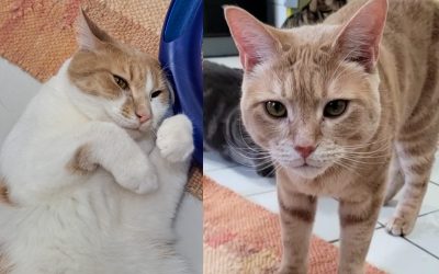 Tiere suchen ein Zuhause: Ted und Twix suchen ein liebevolles Heim