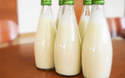 Tarifstreit in der Milchwirtschaft: NGG kündigt weitere Warnstreiks an