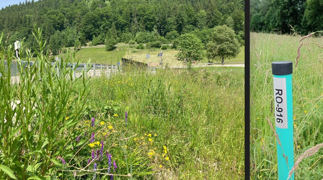 Für mehr Artenvielfalt: Staatliches Bauamt Rosenheim startet ökologische Maßnahmen in 4 Landkreisen