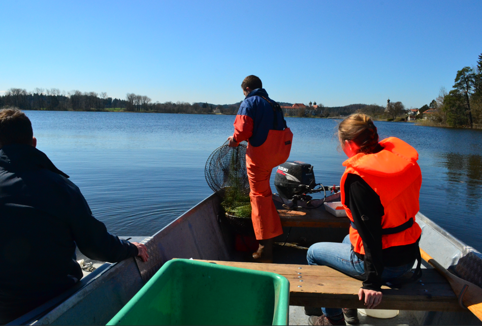 „Tag der offenen Tür“ am Fachzentrum Fisch & Biene
