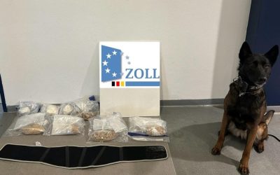 Erfolg für Zollhündin Siri: Kokain und präparierten Nierengurt aufgespürt