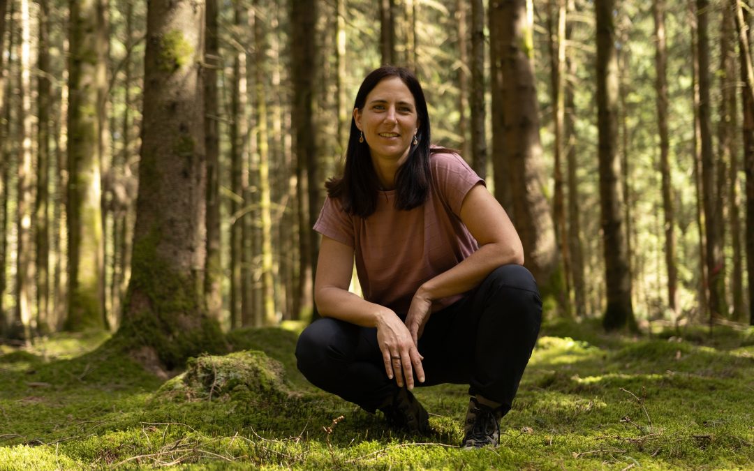Waldbaden am Bayerischen Meer