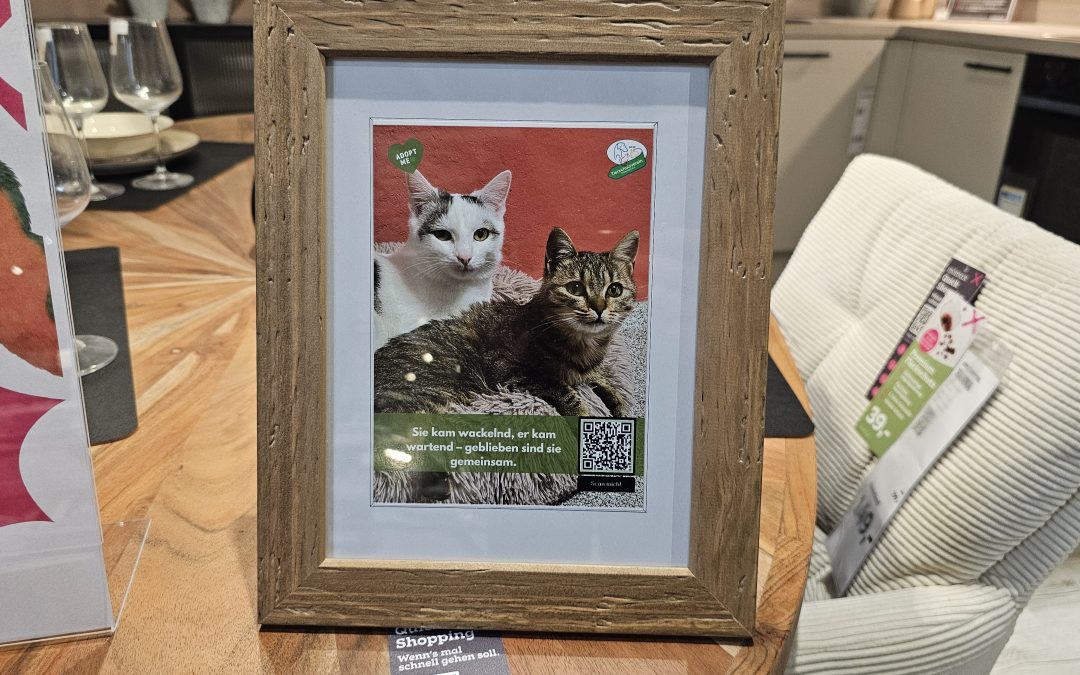 Rosenheim: Möbel kaufen, Herz an Tiere verlieren