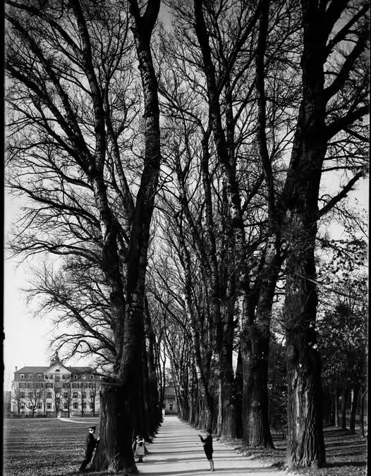 Loretowiese, Rosenheim, 1919