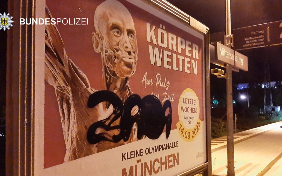 München: Diensthund hilft beim Aufspüren von Graffiti-Täter
