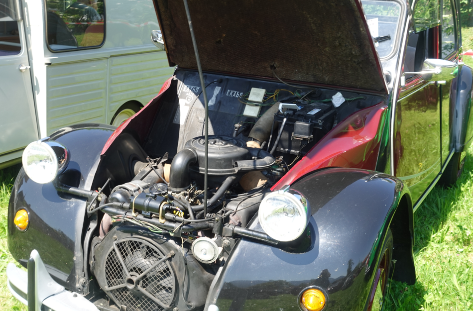 Ententreffen 16 Ententreffen 2025. Fotos: Innpuls.me