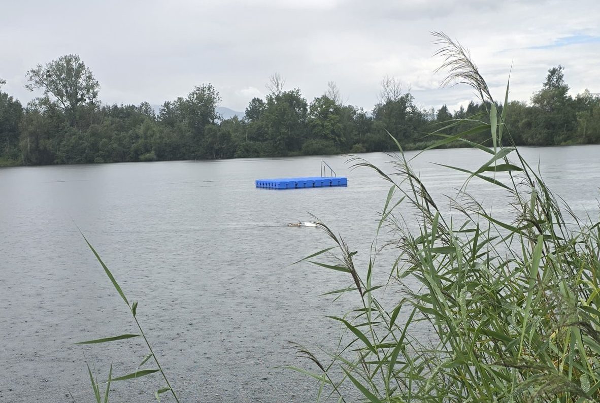 See See Copyright Eduard Staudhammer