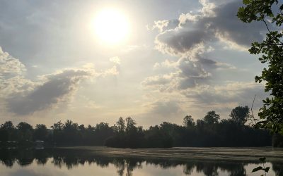 MorgenINNPULS – Schon gewusst?