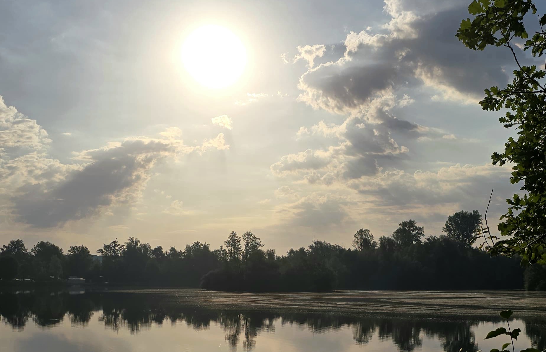 See See Copyright Eduard Staudhammer