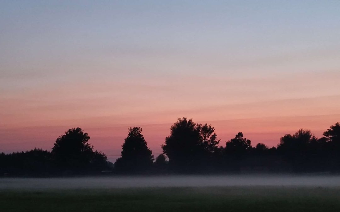 Der Herbst kündigt sich auf Rosenheims Felder und Wiesen an