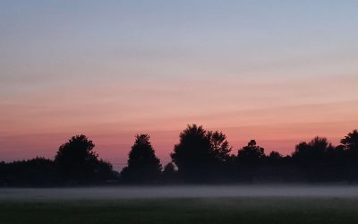 Der Herbst kündigt sich auf Rosenheims Felder und Wiesen an