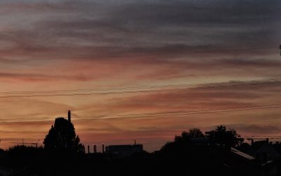 MorgenINNPULS – Schon gewusst?