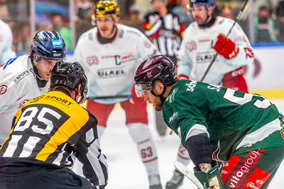 Eishockey: Rosenheim Vs. Düsseldorf 19.9.2025. Fotos: Copyright Peter Lion