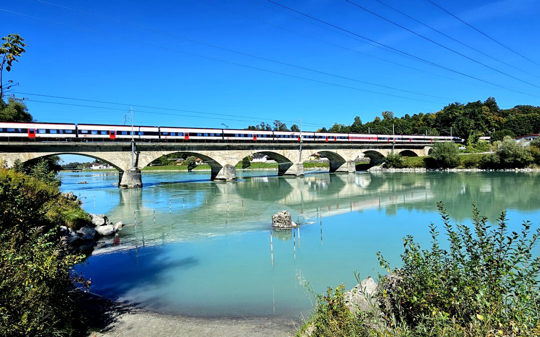 Im Rosenheimer Ortsteil Kastenau: Katze ertränkt – Polizei sucht Zeugen