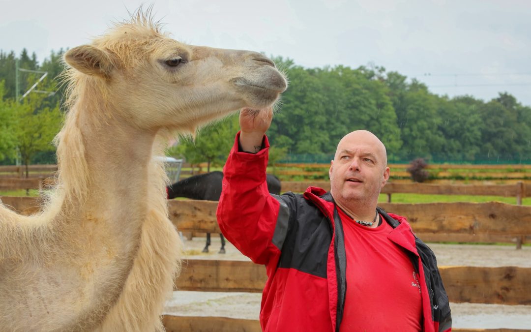 Gut Aiderbichl Iffeldorf erstrahlt in neuem Glanz: Kleintierbegegnungszone und Kamelerlebnisse