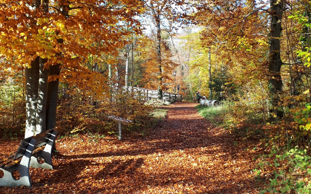 Priener Wildkräuterwanderung