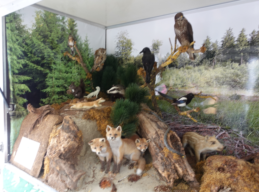 Schmankerlstraße 13 Rosenheimer Schmankerlstraße 2025. Fotos: Innpuls.me