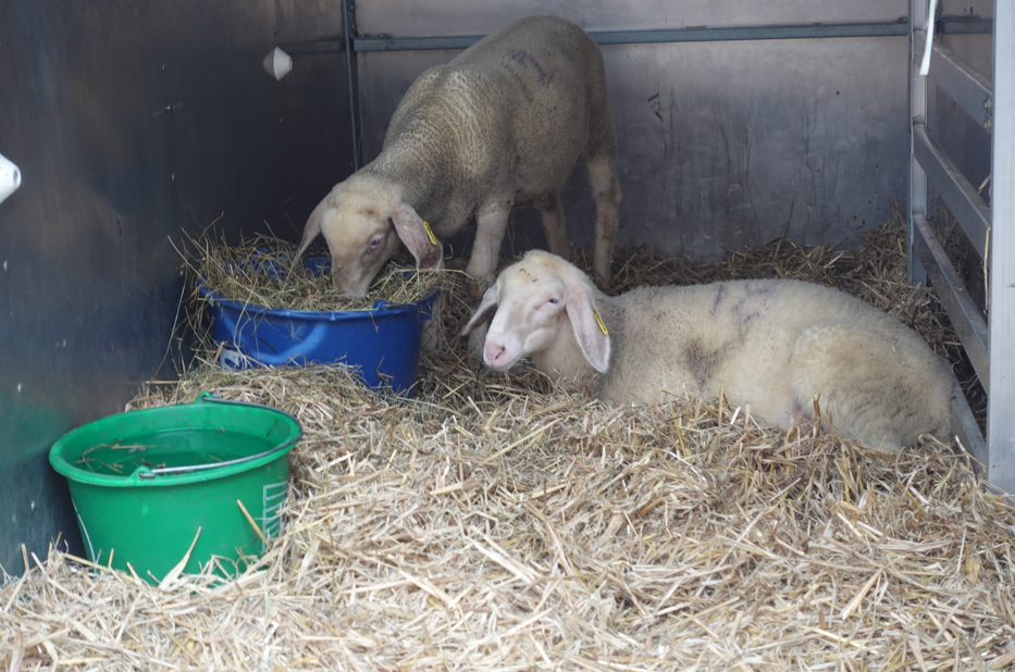 Schmankerlstraße 6 Rosenheimer Schmankerlstraße 2025. Fotos: Innpuls.me