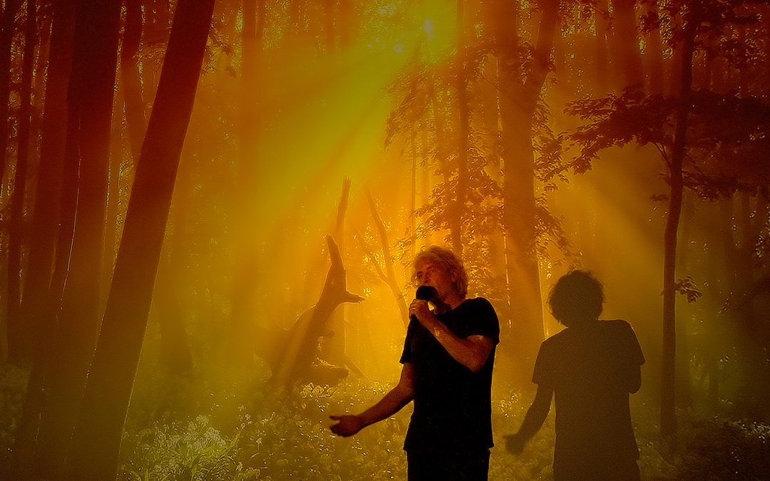 Die Seele des Waldes: Eine Filmreise mit Stefan Erdmann