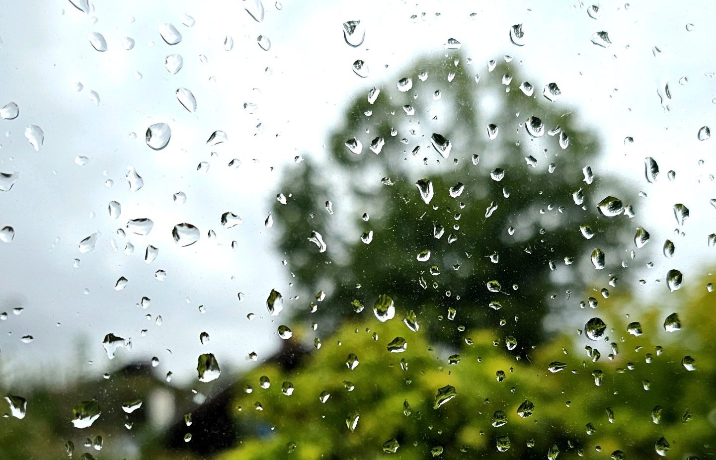 Regen Regentropen auf Fenster