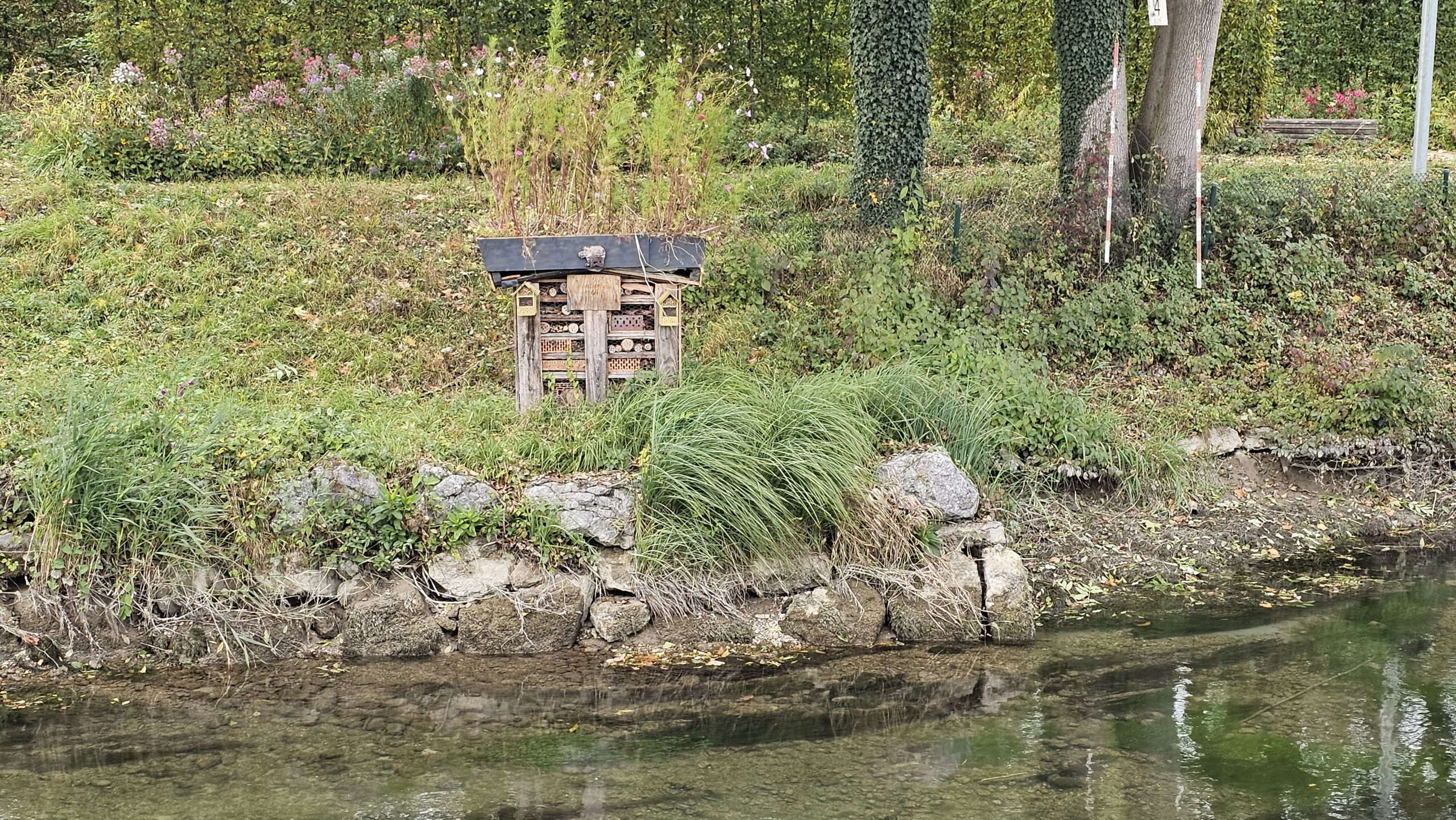 Fluss Insektenhaus Fluss, Insektenhaus im Hintergrund