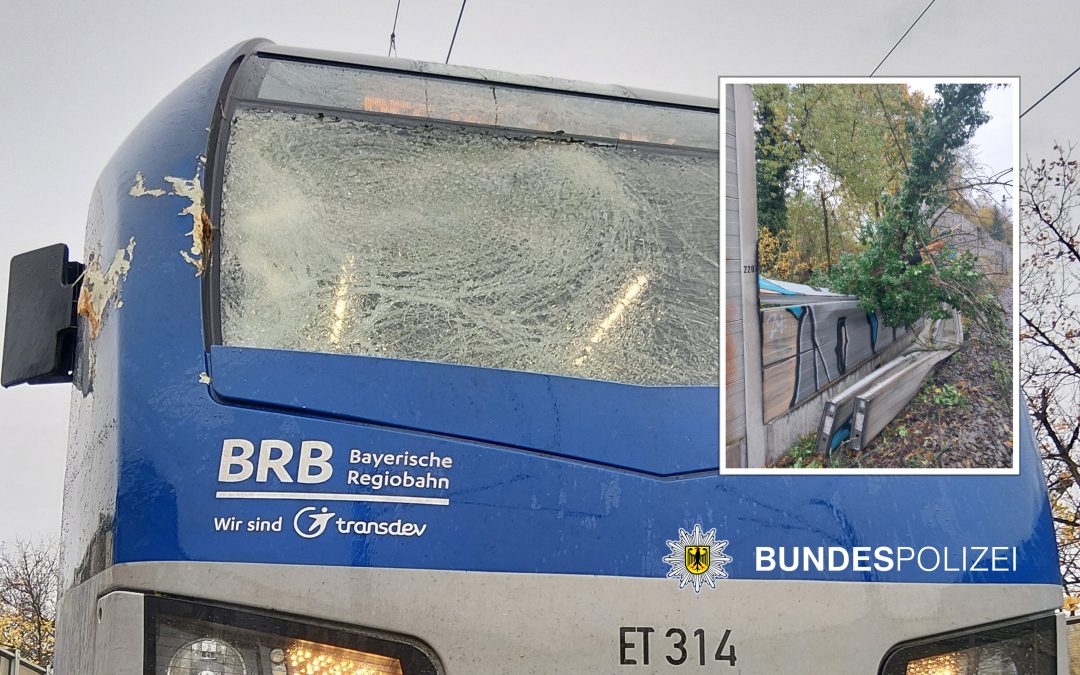 Umgestürzter Baum stoppt Regionalzug in München