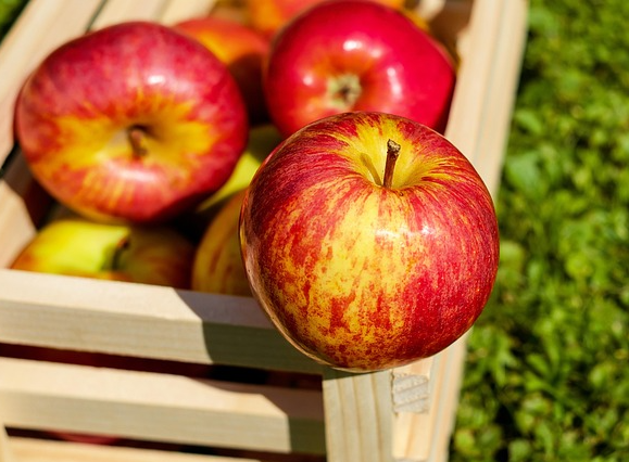 Bauernherbstmarkt in Rohrdorf