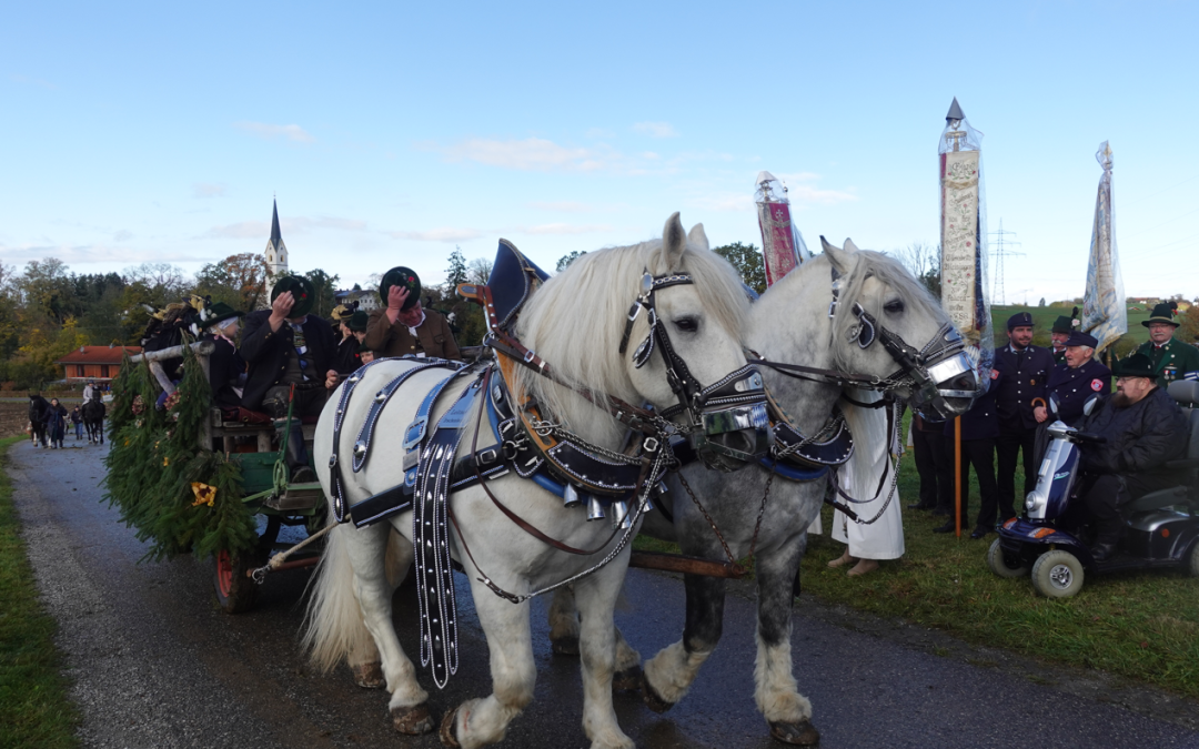 Trotz Wind und Kälte: Ein farbenfroher Leonhardiritt in Leonhardspfunzen