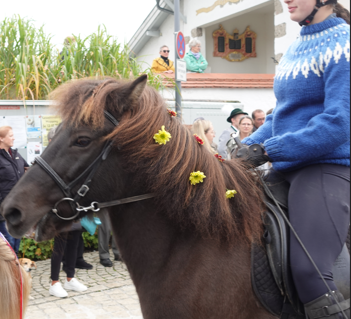 Leonhardiritt Happing 2025. Foto: Innpuls.me