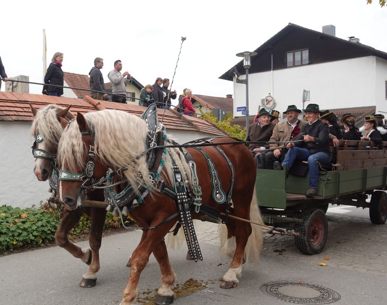 Leonhardiritt Happing 2025. Foto: Innpuls.me
