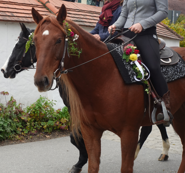 Leonhardiritt Happing 2025. Foto: Innpuls.me