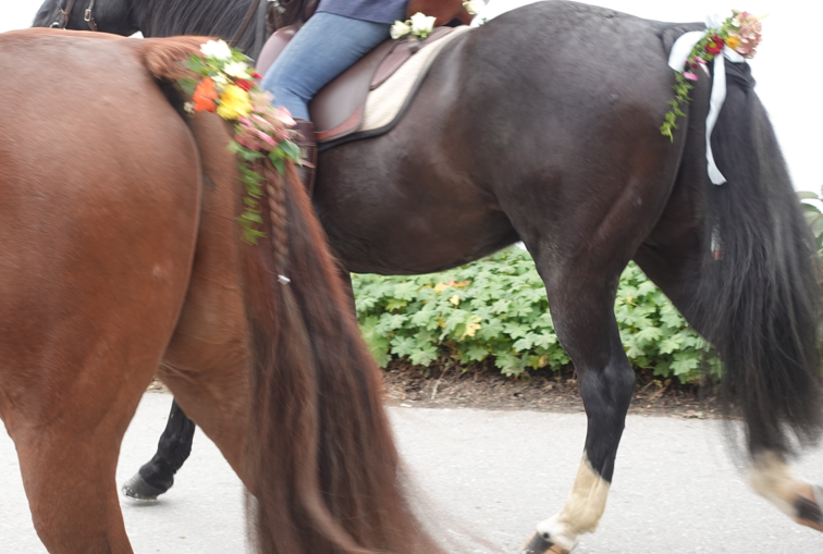 Leonhardiritt Happing 2025. Foto: Innpuls.me