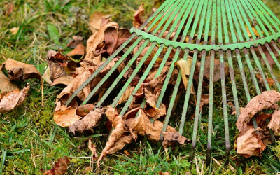 Krachmacher im Garten: LBV warnt vor Laubbläser und -saugern