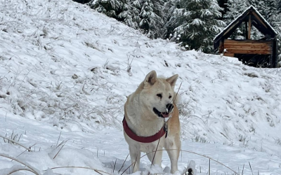 Der Winter hat Einzug in die Alpen gehalten