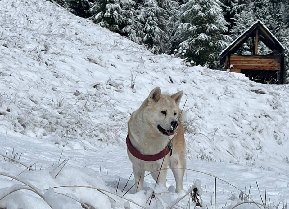 Der Winter hat Einzug in die Alpen gehalten