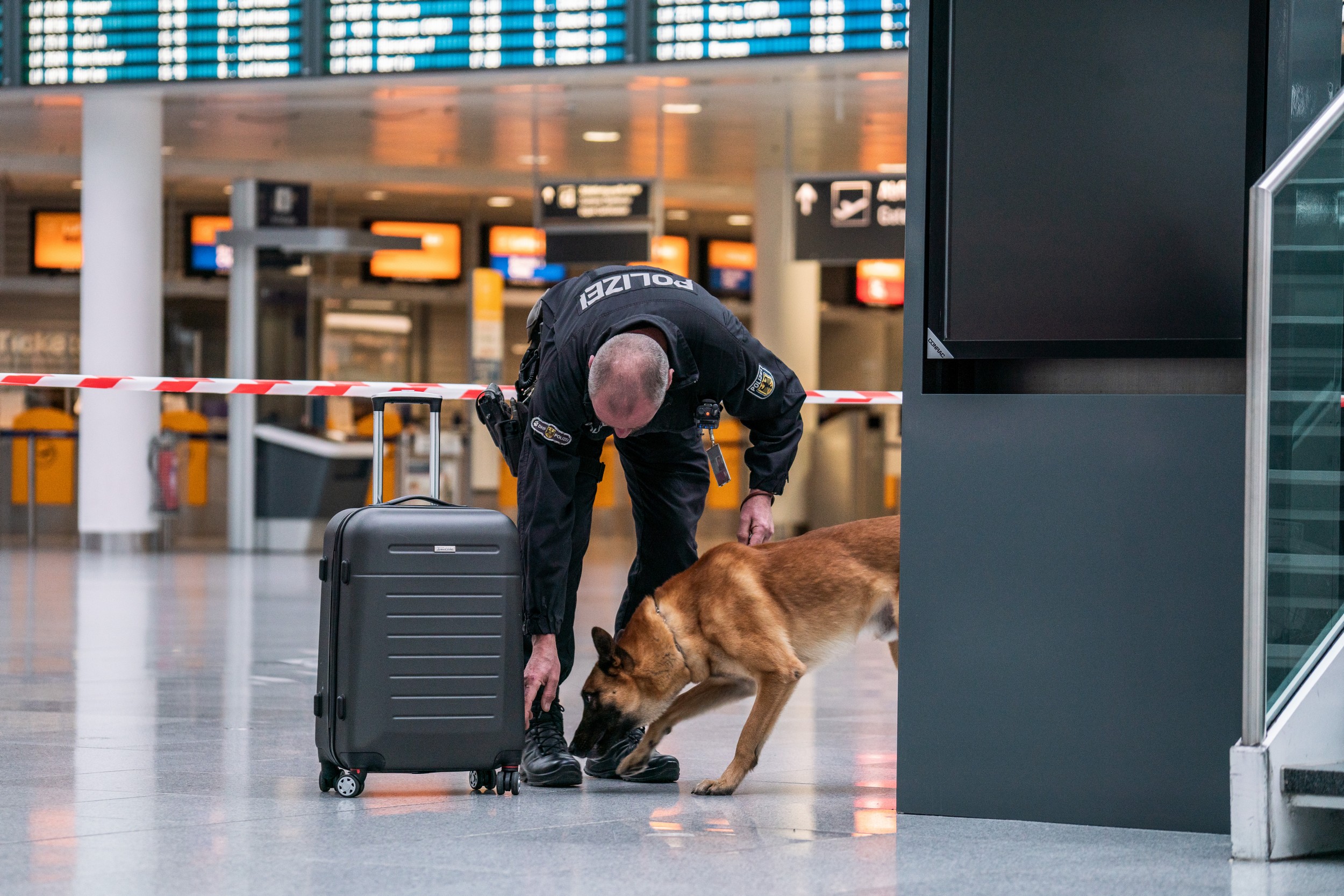 Sprengstoffspürhund der Bundespolizei Symbolfoto: Spürhund im Einsatz: Foto: Bundespolizei