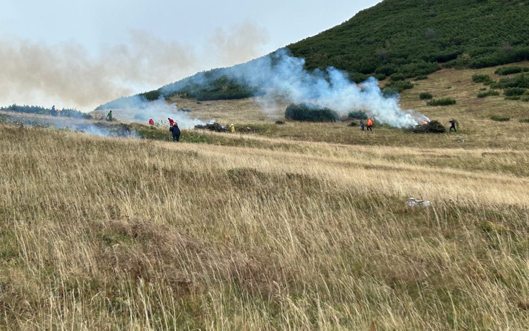 Freiwillige pflegen Almflächen am Geigelstein