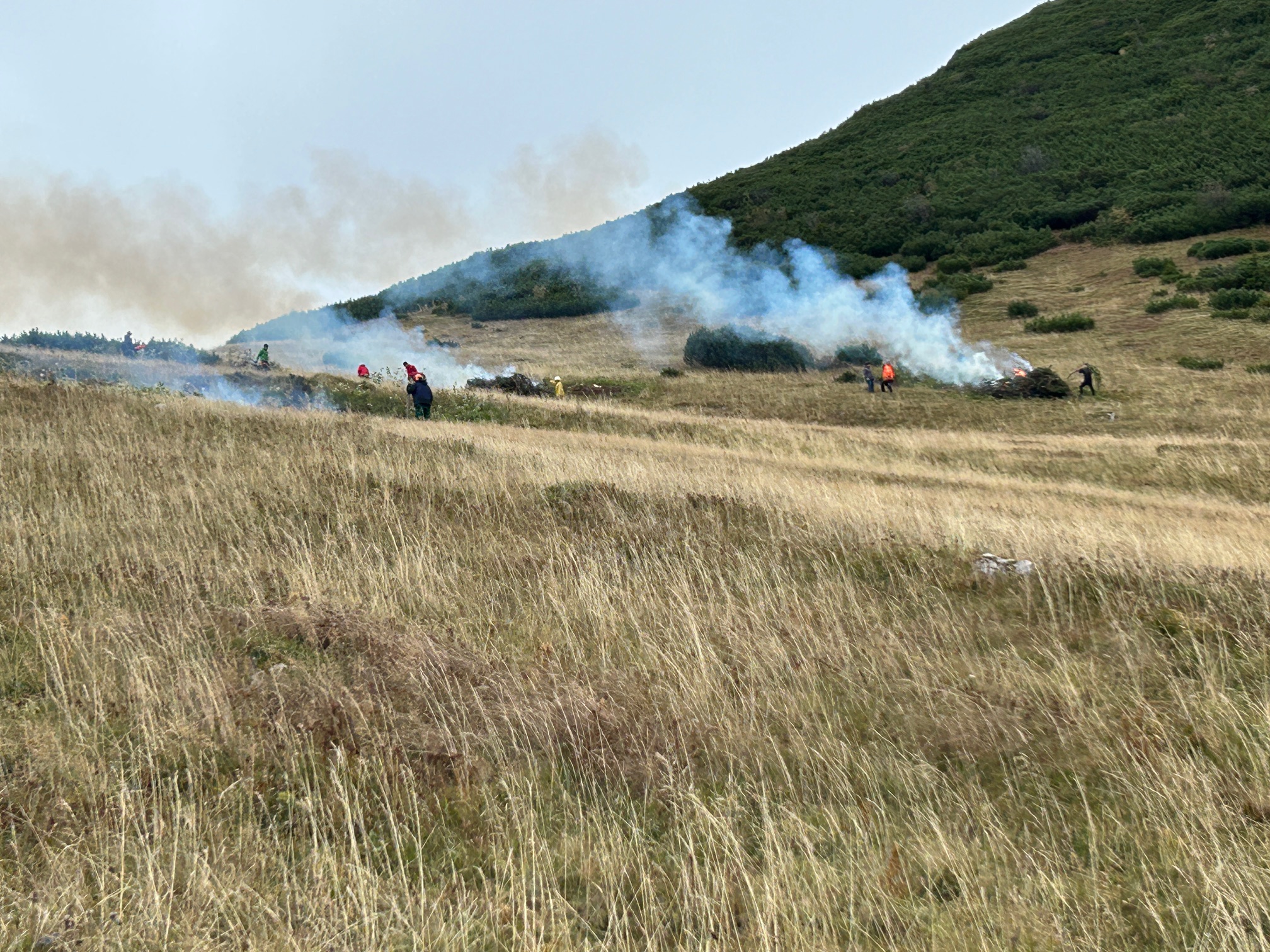 er Gipfelmulde von B. Baretzky Schwendtaktion am Geigelstein. Foto: Copyright Brigitte Baretzky