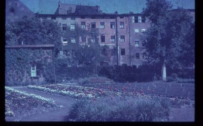 Riedergarten, Rosenheim, 1950