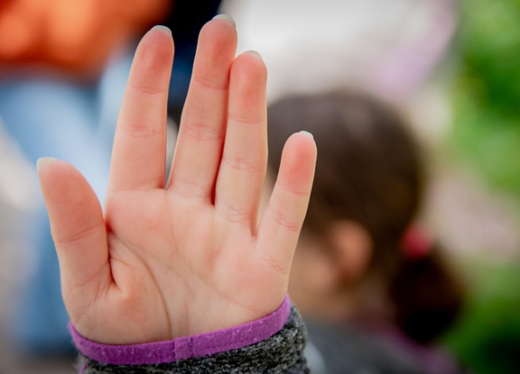 Rosenheimer Grüne fordern Aktionsplan zur Umsetzung der Istanbul-Konvention