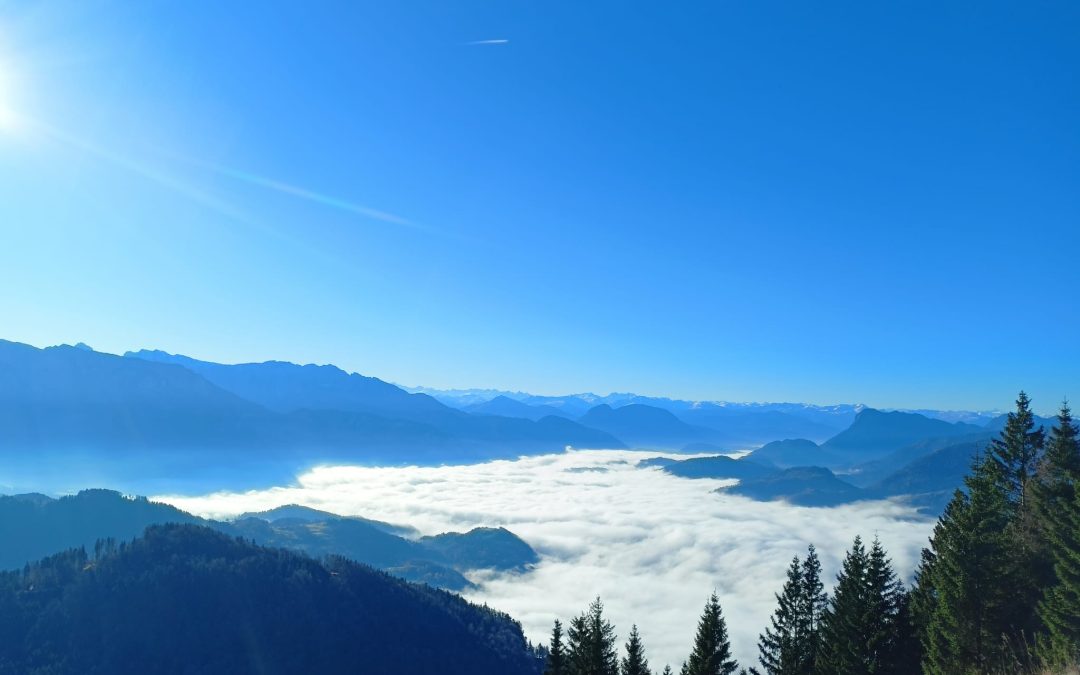 Novemberwetter in den Tälern – Sonne und Wärme auf dem Kranzhorn