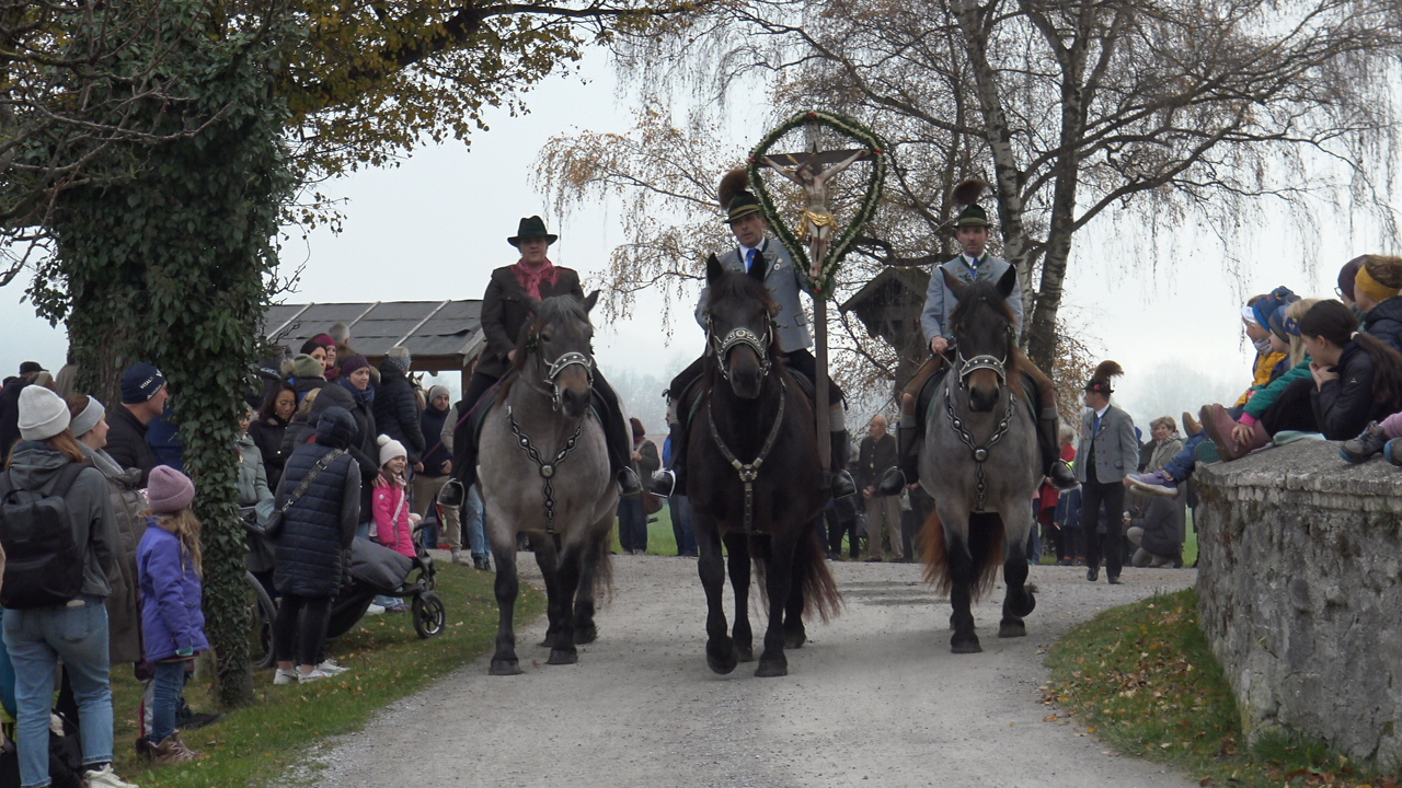 Leonhar (1) Leonhardiritt Nußdorf 2025. Fotos: Copyright Elisabeth Eder