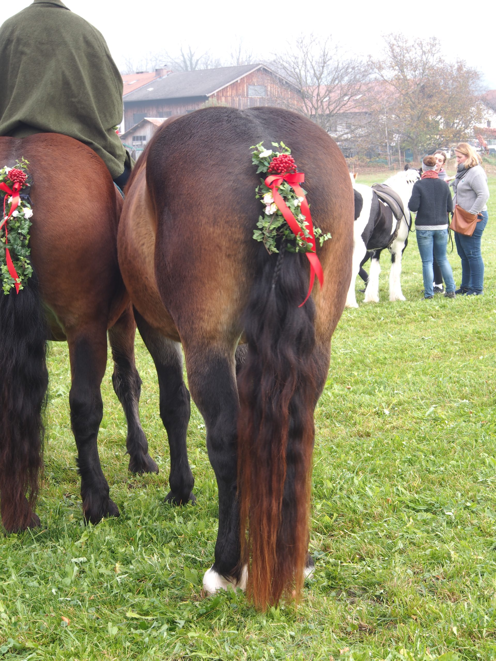 OLYMPUS DIGITAL CAMERA Leonhardiritt Nußdorf am Inn. Fotos: Copyright Elisabeth Eder