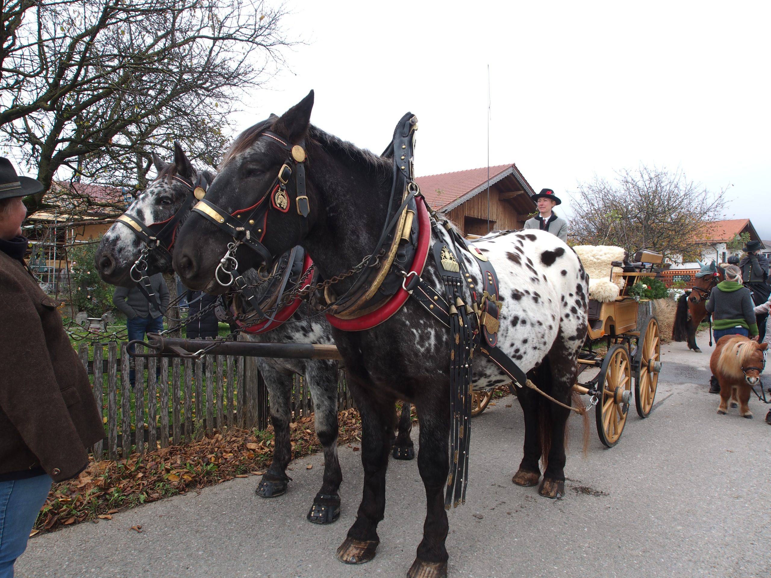 OLYMPUS DIGITAL CAMERA Leonhardiritt Nußdorf am Inn. Fotos: Copyright Elisabeth Eder
