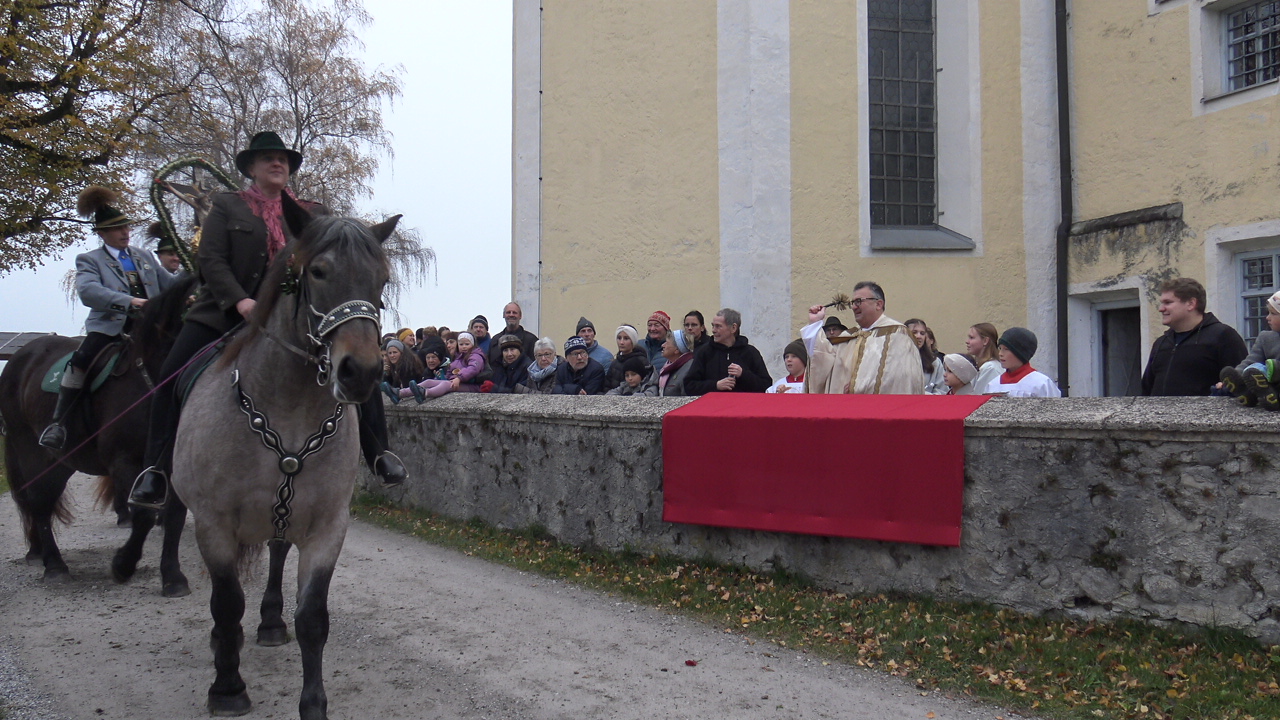 Leonhar (12) Leonhardiritt Nußdorf am Inn. Fotos: Copyright Elisabeth Eder