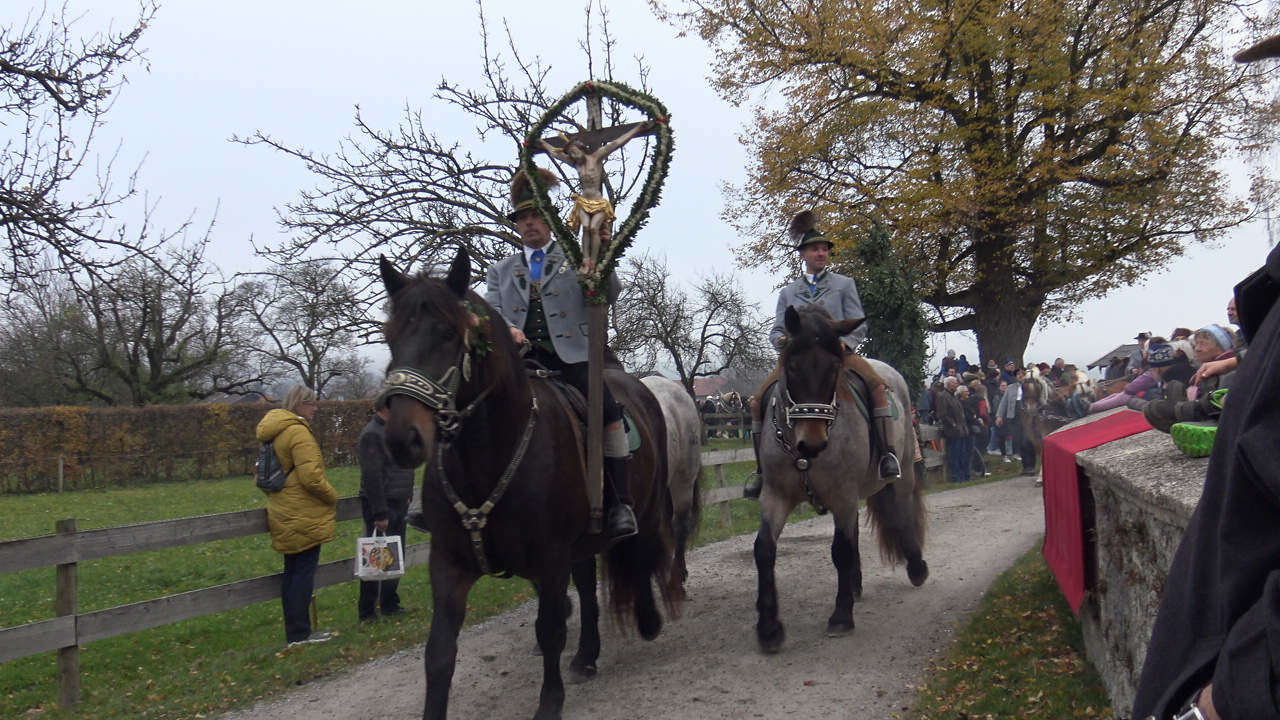 Leonhar (13) Leonhardiritt Nußdorf am Inn. Fotos: Copyright Elisabeth Eder